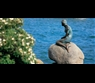 Little mermaid by Cees Van Roeden/VisitDenmark